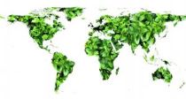 environmental responsibility