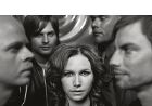 The Cardigans