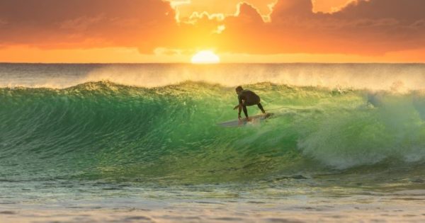 Prepare to surf a business skills revolution