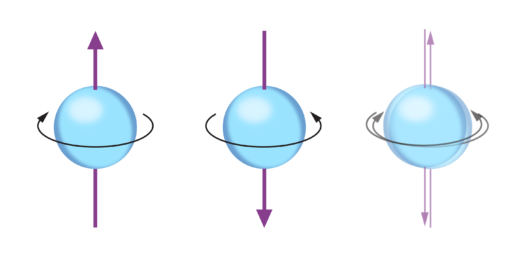 Quantum-1 (1)