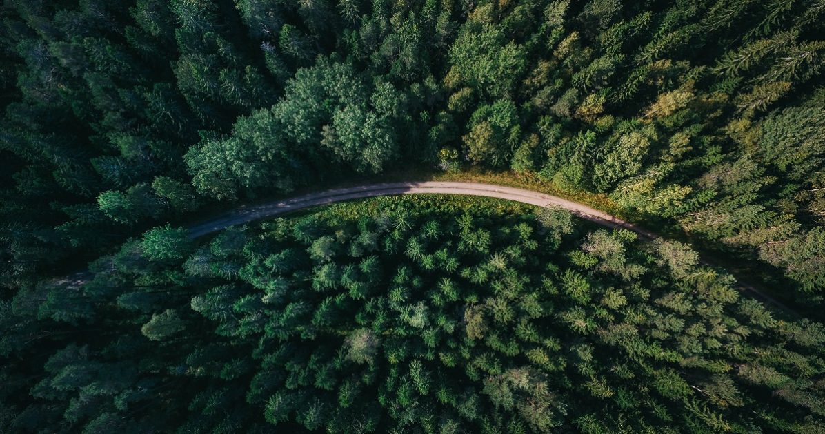 Forestry