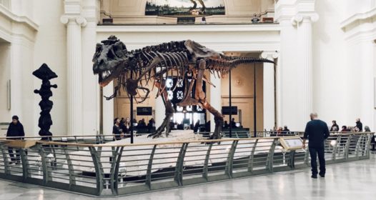 de-fossilize your business