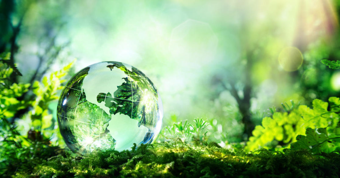 Sustainability